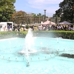 １５年ぶりに水しぶきを上げた噴水＝尼崎市東七松町１（撮影・小林良多）