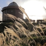 阪神地域最高峰の大野山山頂。天文台周辺にススキの穂がたなびく＝猪名川町柏原