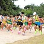 一斉に走り出す男子１区の選手たち＝西宮市の武庫川河川敷