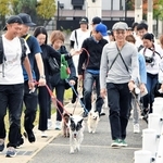 志水直樹さん（手前左）の誘導を受けて犬と一緒に散歩する参加者ら＝西宮市段上町周辺