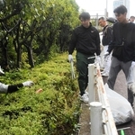 川辺の植栽帯で空き缶などを拾う市民ら＝１日午前、尼崎市東難波町４