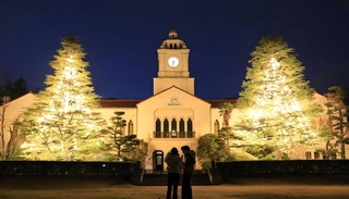 クリスマスを前にライトアップされたヒマラヤスギ＝西宮市上ケ原一番町