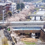 芦屋市が一定規模の建設、開発に課税へ　緑豊かな住環境維持　26年2月に条例案提出