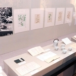 戦時も研究や保護、桜男・笹部新太郎をたどる　西宮で史料展、自筆の日記や活動を紹介