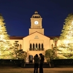 クリスマスを前にライトアップされたヒマラヤスギ＝西宮市上ケ原一番町