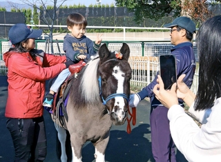 ポニーにまたがって乗馬を楽しむ子どもら＝宝塚市駒の町、阪神競馬場