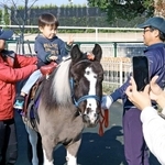 ポニーにまたがって乗馬を楽しむ子どもら＝宝塚市駒の町、阪神競馬場