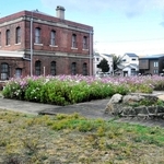 国の近代化産業遺産「ユニチカ記念館」。コスモスが咲く敷地西側に庭園が整備される＝尼崎市東本町１