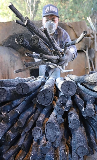 火入れから８日目の朝、窯出しされる「一庫炭」＝川西市黒川