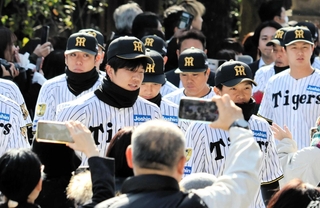 ユニフォーム姿で参拝に訪れた才木浩人投手（中央）ら阪神の選手＝西宮市社家町
