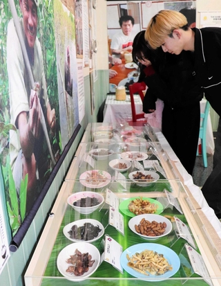 世界各国で食べられている昆虫やその調理方法を紹介する展示＝伊丹市昆陽池３