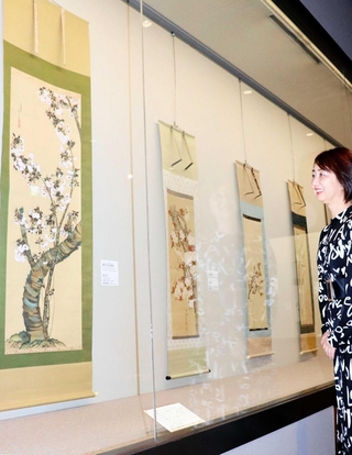 笹部新太郎が収集した桜の掛け軸などが並ぶ＝いずれも西宮市鞍掛町