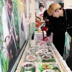 世界各国で食べられている昆虫やその調理方法を紹介する展示＝伊丹市昆陽池３