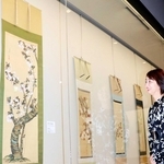 笹部新太郎が収集した桜の掛け軸などが並ぶ＝いずれも西宮市鞍掛町