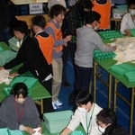 西宮市長選の出口調査分析　自民支持層4割が石井氏に投票　30～50代は田中氏支持