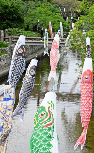 色とりどりのこいのぼり約１５０匹が空を泳ぐ＝西宮市大浜町１