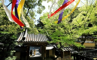 風薫る境内。青々とした山に囲まれる＝宝塚市米谷