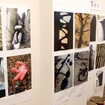 手袋などをユーモラスに写した作品が並ぶ＝西宮市今津山中町