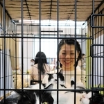 「保護猫助けたい」支援イベント、西宮で初開催　飼い主募集やグッズ販売、来場者でにぎわう