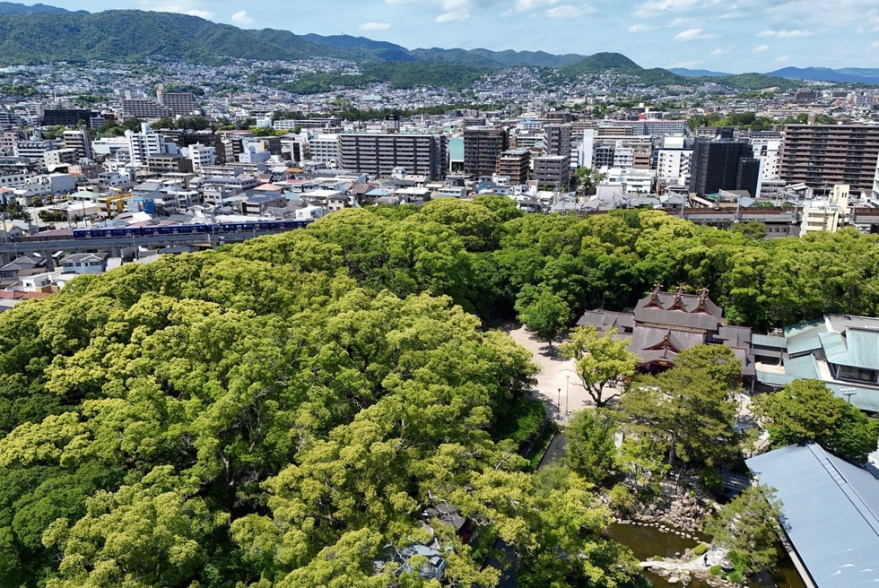 新緑を感じる散歩！西宮神社で心をリフレッシュ