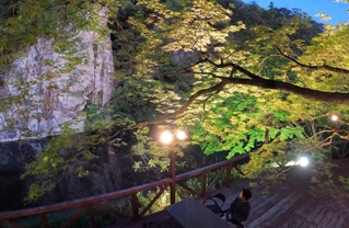 川沿いの屏風岩を望むデッキ。モミジの新緑が浮かび上がった＝猪名川町北田原