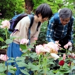 園内に咲く花を見つめる来場者＝尼崎市東塚口町２