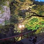 川沿いの屏風岩を望むデッキ。モミジの新緑が浮かび上がった＝猪名川町北田原