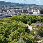 クスノキの大樹が茂る「えびすの森」。都心部の貴重なオアシス＝西宮市社家町（ドローンで撮影）