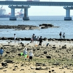 磯が広がる甲子園浜。子どもたちがカニを見つけて楽しんでいた＝西宮市枝川町