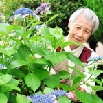 季節の花を育てる林田幸子さんと今が見頃のガクアジサイ＝川西市多田桜木１