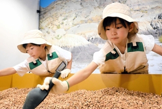 砂利の中からスコップとはけで化石を探し出す子どもたち＝西宮市甲子園八番町