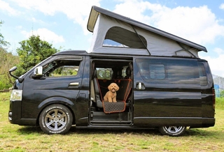 ペットが同乗できるキャンピングカー（提供）