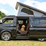 ペットが同乗できるキャンピングカー（提供）
