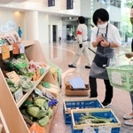 毎週金曜日に開かれている「六甲アイランドこぽらっとおやさい市」＝神戸市東灘区向洋町中６