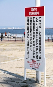 海釣り解禁の実証実験を周知する看板＝５月３日午後、神戸市東灘区向洋町中９