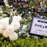 とても素晴らしいという意味の「ファビュラス！」＝神戸市東灘区岡本２