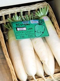 イラストやお勧めの調理法を記して商品を紹介＝神戸市東灘区向洋町中６
