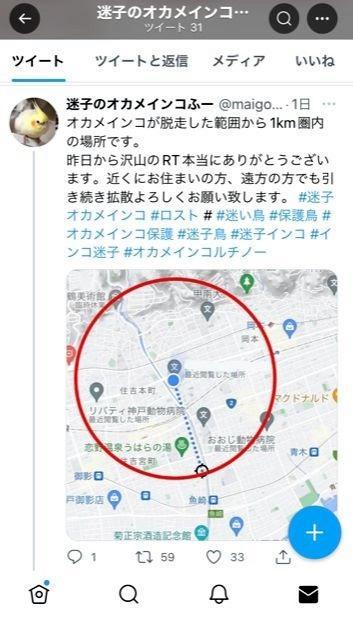 オカメインコ「ふーちゃん」が逃げ出した場所付近を示す、飼い主のツイッターへの投稿画面