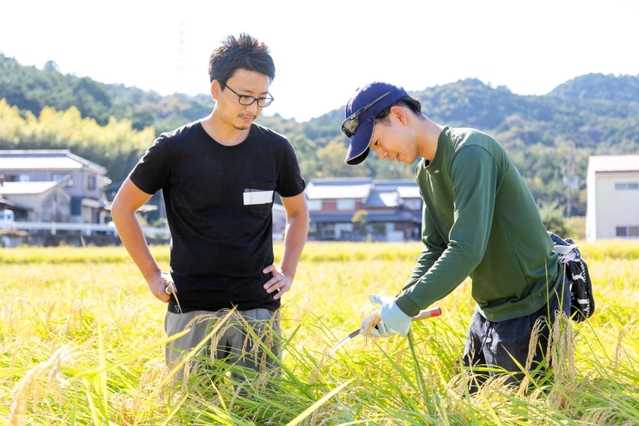 山田錦の若手生産者を訪ねる西田智祐さん（左）（ハニーマザー提供）