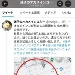 オカメインコ「ふーちゃん」が逃げ出した場所付近を示す、飼い主のツイッターへの投稿画面