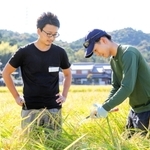 山田錦の若手生産者を訪ねる西田智祐さん（左）（ハニーマザー提供）