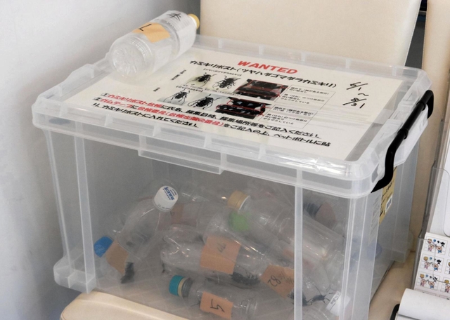 空きペットボトルに入ったツヤハダゴマダラカミキリが回収されている「カミキリポスト」＝神戸市東灘区向洋町中２