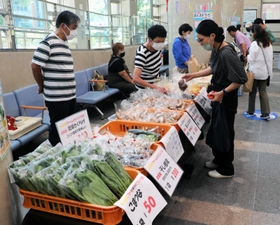 東灘区役所の１階ロビーで開かれた８月の「まんまるケってぃ」＝同区役所