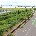沿岸の眺望を生かし、グランピングなどの集客施設を公募することになった市有地（左）。駐車場で使われている区画とマリンパーク（奧）の間が今回の貸付対象地になる＝神戸市東灘区向洋町中９