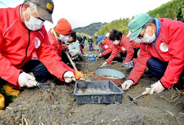 そろいの赤ジャンパーで収穫作業に取り組む住民ら＝姫路市夢前町莇野