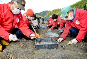 そろいの赤ジャンパーで収穫作業に取り組む住民ら＝姫路市夢前町莇野
