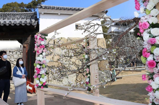 早咲きの桜をあしらった花のオブジェが展示された姫路城内＝姫路市本町
