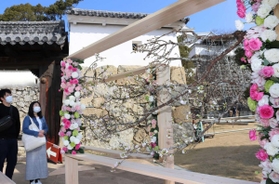 早咲きの桜をあしらった花のオブジェが展示された姫路城内＝姫路市本町