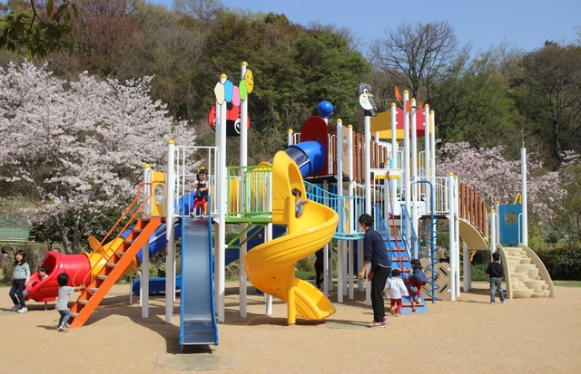 約２０年ぶりに新しくなった大型複合遊具＝姫路市太市中、桜山公園