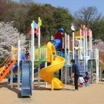 約２０年ぶりに新しくなった大型複合遊具＝姫路市太市中、桜山公園